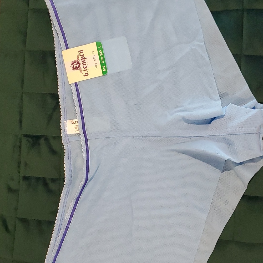 B.tempt'd Wacoal mesh boyshort, blue, size large